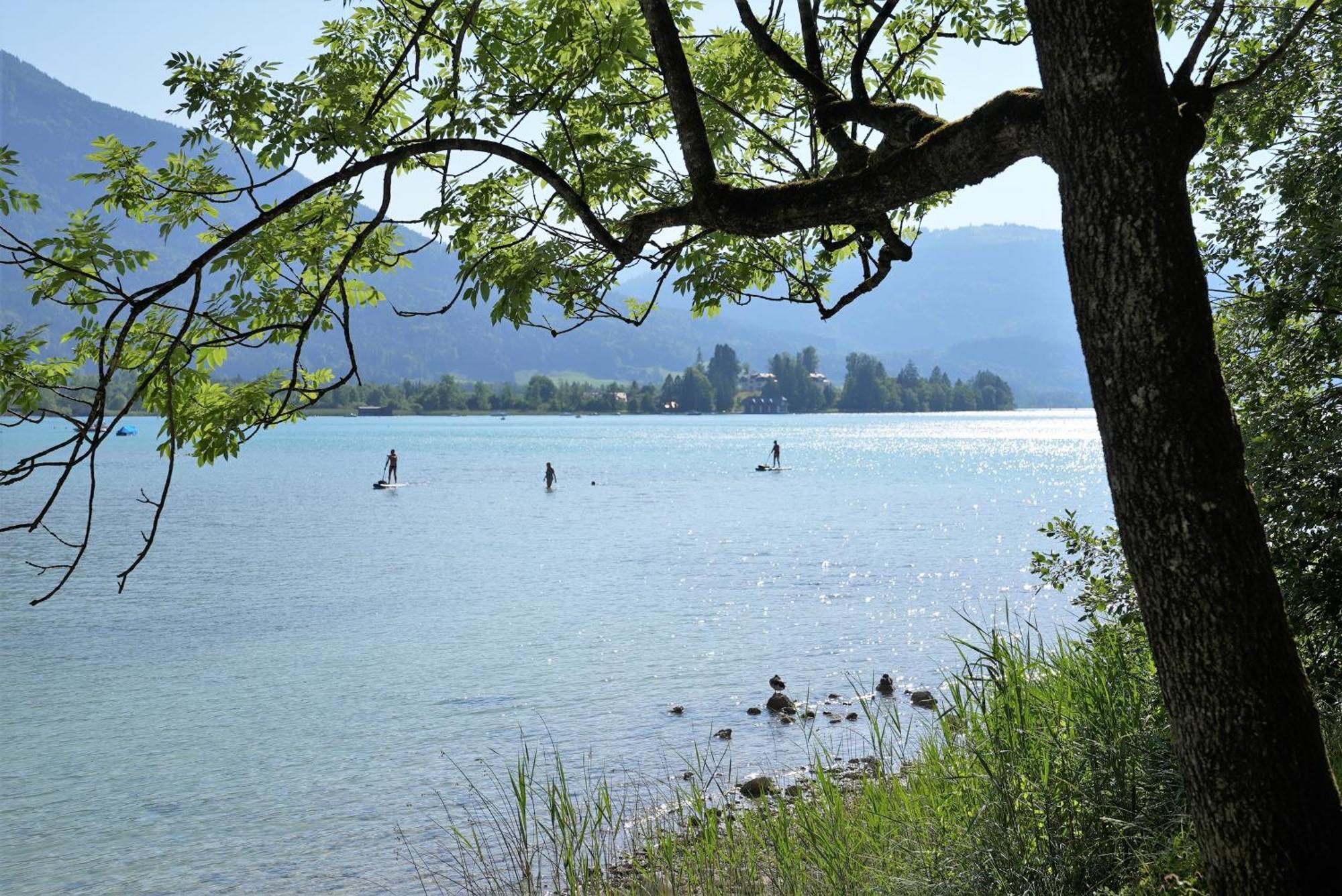 Bergblick 411 Am Wolfgangsee Strobl Pokój zdjęcie