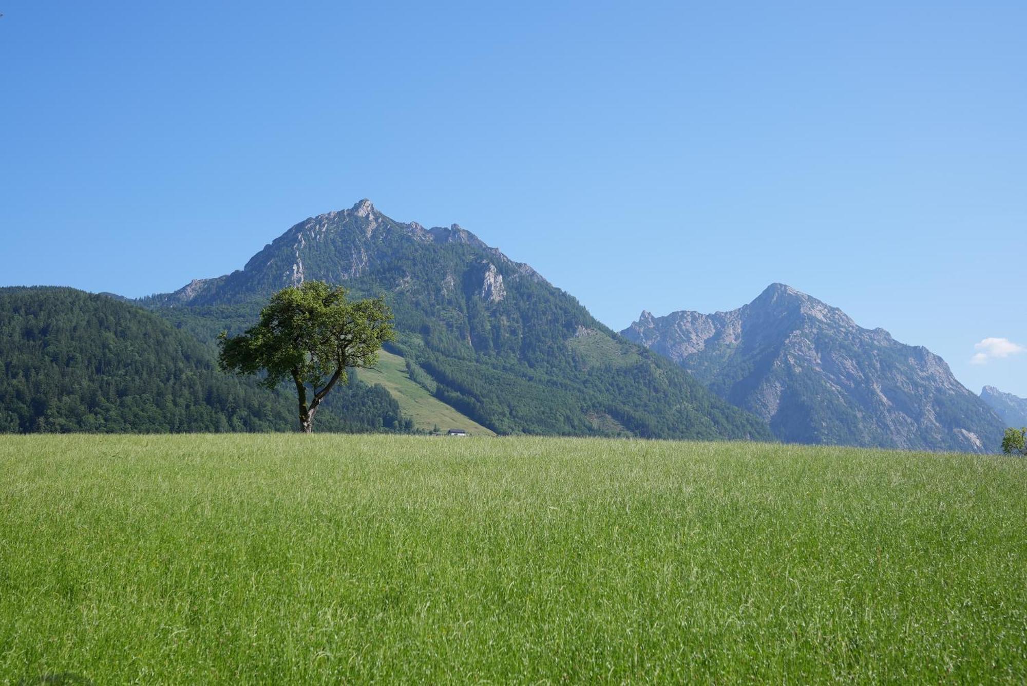 Bergblick 411 Am Wolfgangsee Strobl Pokój zdjęcie